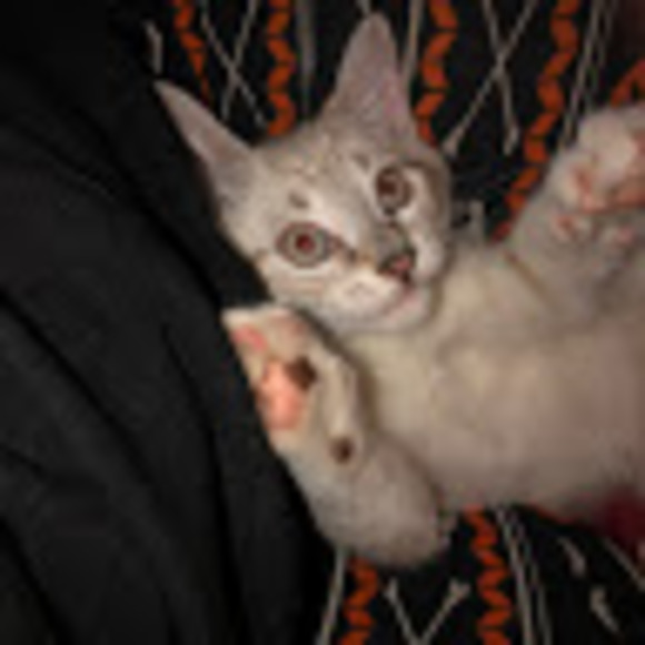 ☯️Welcome♊️I’m Angela=ALWAYS keepn it REAL&HONEST! - Picture 3 of 16